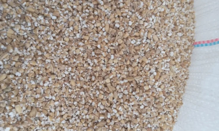 Продам крупу ячну 5 тонн - фото № 1