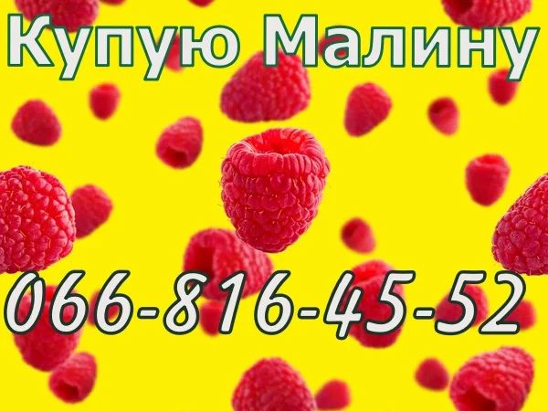 Куплю Малину - фото № 1