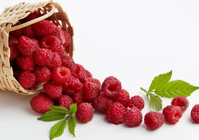 Закупаю малину от населения и заготовителей - фото № 1