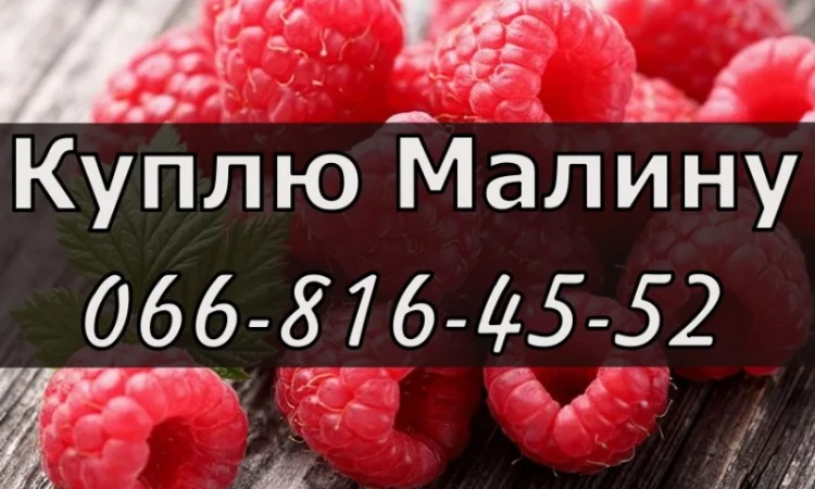 На постійній основі - фото № 1