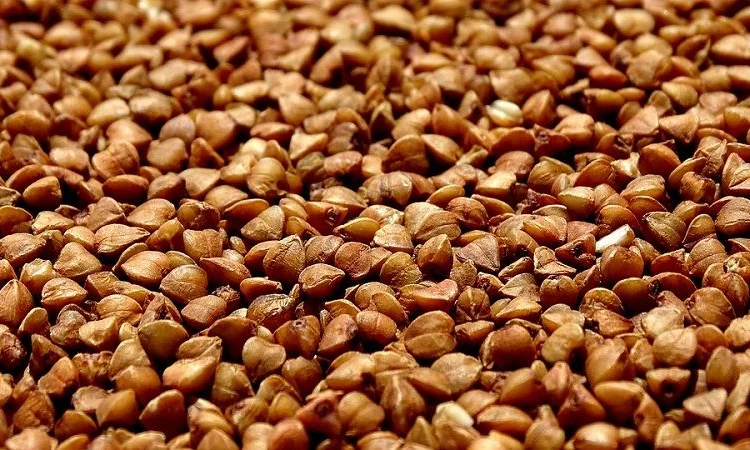 Крупзавод пропонує співпрацю - фото № 1