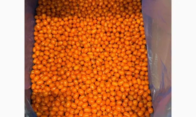 Продам Заморожену Ягоду Обліпихи - фото № 1