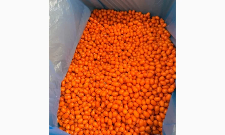 Продам Заморожену Ягоду Обліпихи - фото № 4