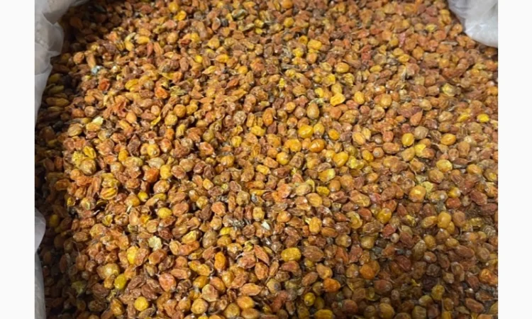 Продам обліпиху сушену - фото № 2