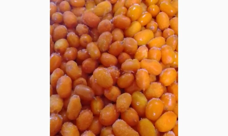 Продам обліпиху заморожену оптом від 10 тонн - фото № 1