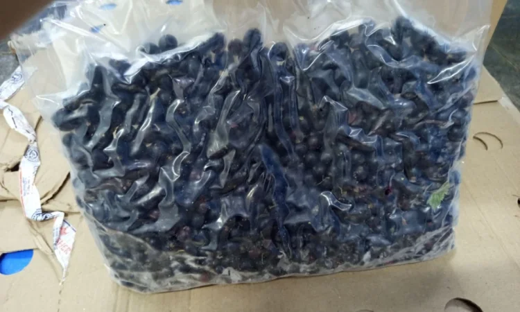 Продам чорну смородину шокової заморозки 2025 р.в - фото № 1