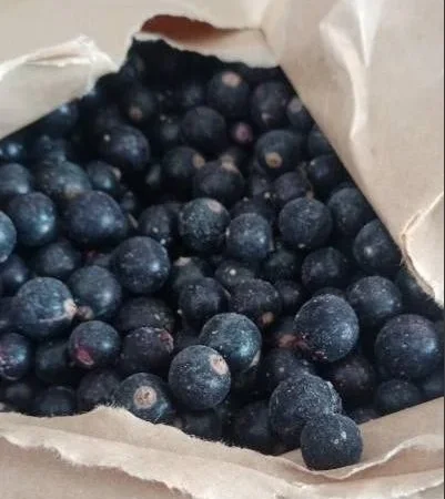 Продам смородину - фото № 1