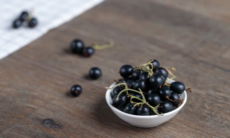 Підприємство купує смородину - фото № 1