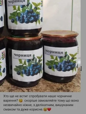 Сушена чорниця - фото № 1