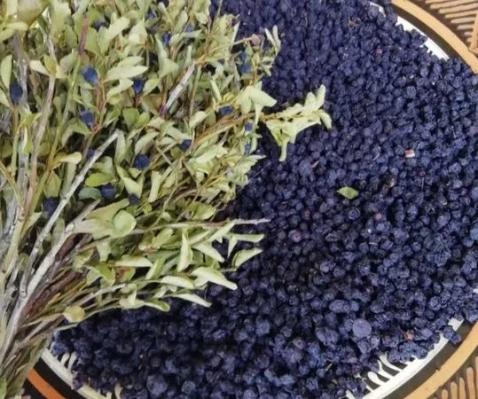 Сушена чорниця - фото № 3