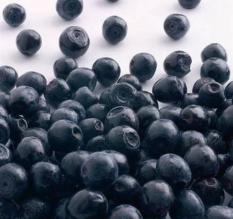 Куплю замороженную чернику - фото № 1