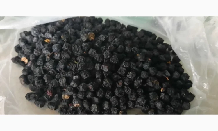 Сушена чорниця – якісний продукт від 650 грн/кг - фото № 1
