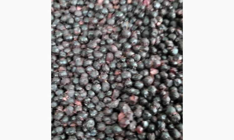 Купуємо чорницю заморожену - фото № 1