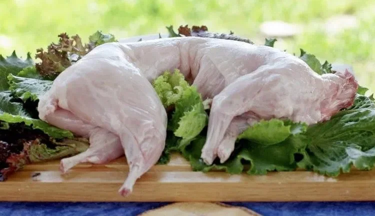 Продается свежее мясо кролика, тушки - фото № 1