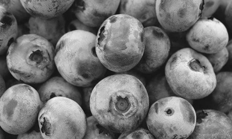 Куплю чорницю с/м 1-2 палети в ящиках - фото № 1