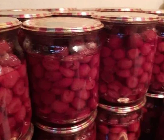 Сушена чорниця лісова - фото № 9