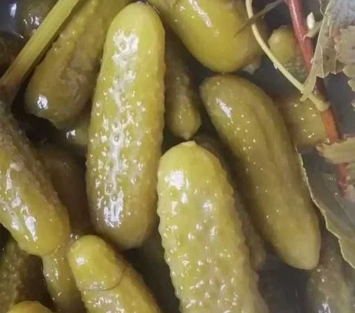 Сушена чорниця лісова - фото № 11