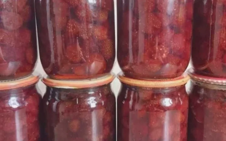 Сушена чорниця лісова - фото № 2