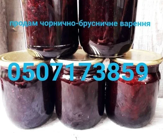 Сушена чорниця лісова - фото № 3