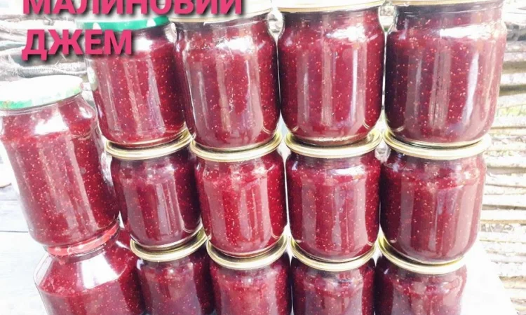 Сушена чорниця лісова - фото № 4