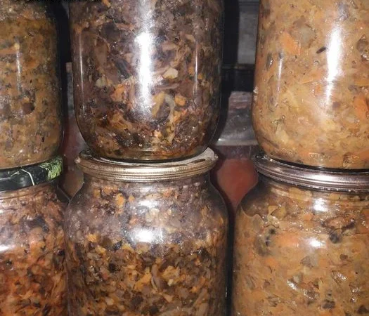 Сушена чорниця лісова - фото № 5