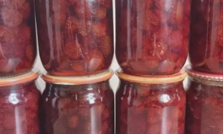 Сушена чорниця лісова - фото № 8