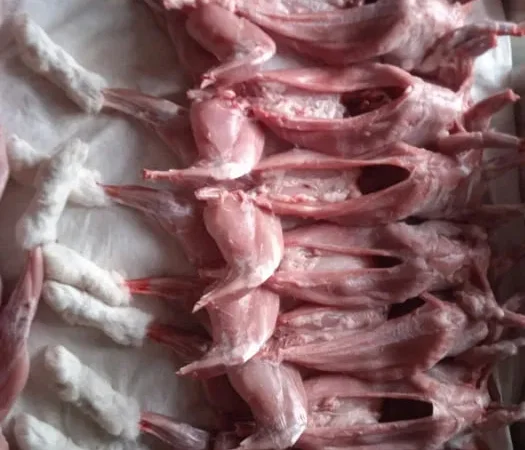 Тушки кроликов для домашней кухни - фото № 1