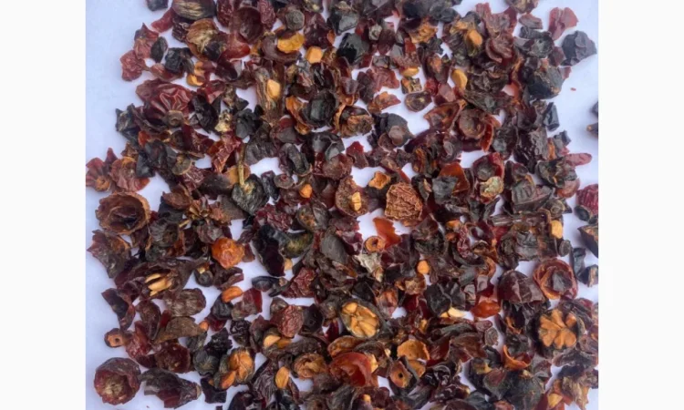 Продам шкірку шипшини - фото № 1