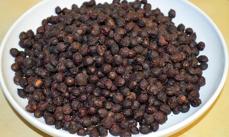 Продам шиповник в объеме - фото № 2