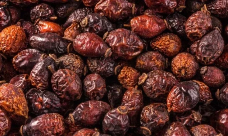 Пропонується сушена шипшина - фото № 1