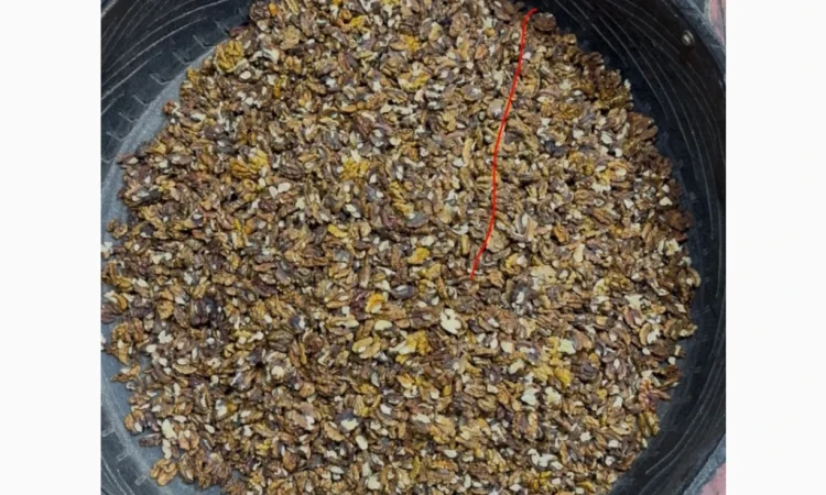 Продам ядро грецького горіха 2 - фото № 6