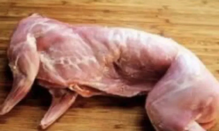 Продается туша домашнего кролика - фото № 1