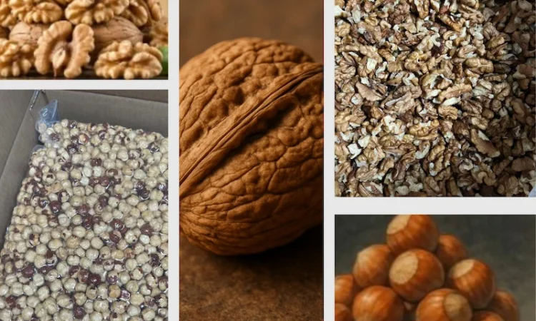 Волоський горіх та фундук - перебрані - фото № 1