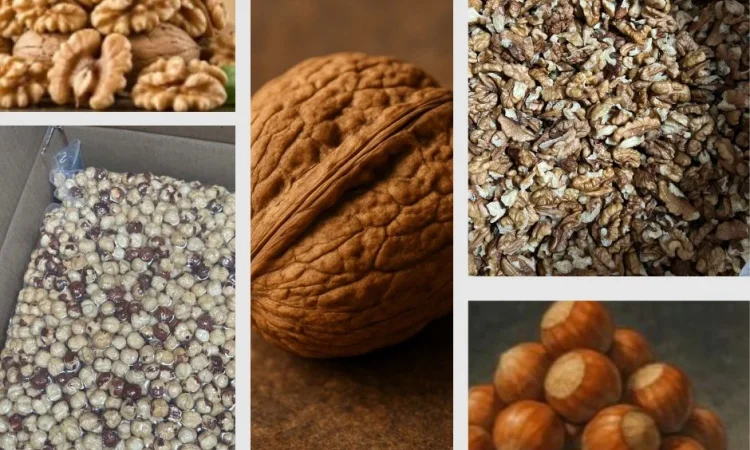 Сертифіковане виробництво з переробки волоського горіха та фундука - фото № 1