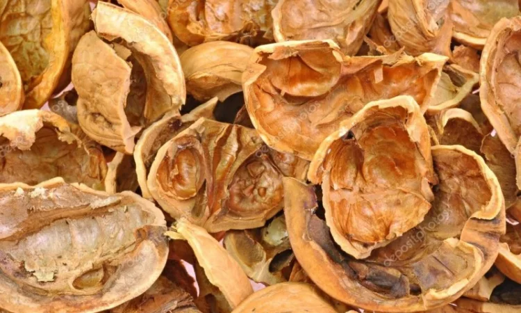 Куплю скорлупу ореха - фото № 1