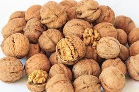 Куплю ядро грецького горіха - фото № 1