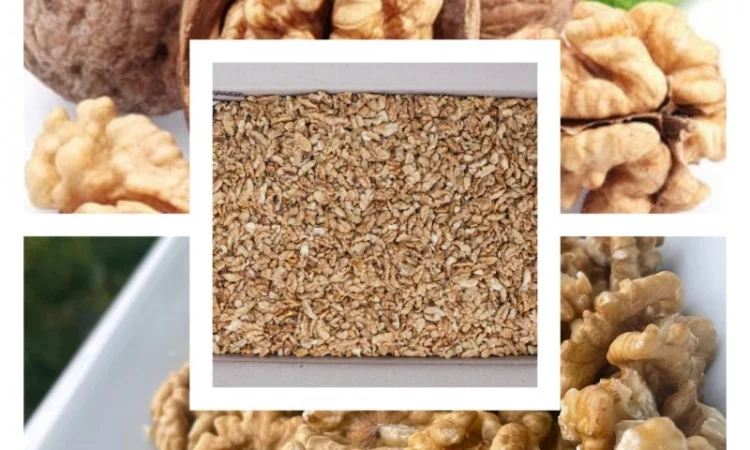 Закупаем ядро грецкого ореха - фото № 1