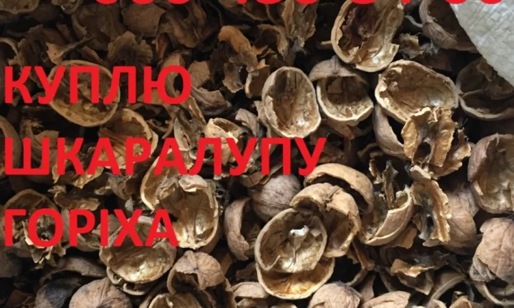 Куплю шкаралупу грецького горіха - фото № 1