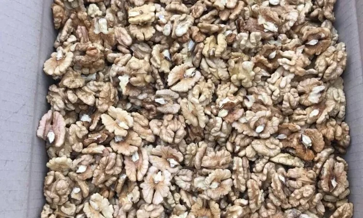 Продам Ядро Грецького Горіха на Експорт - фото № 1