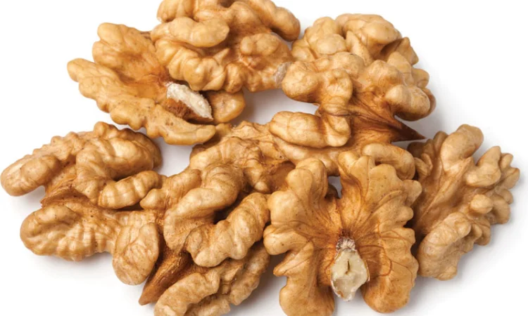 Куплю ядро горіха грецького - фото № 1