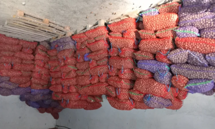 Продам горіх - фото № 1