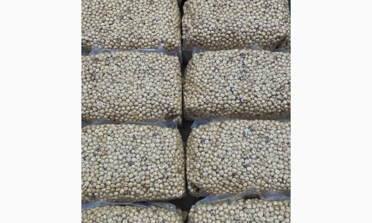 Продается фундук бланшированный и жареный - фото № 1