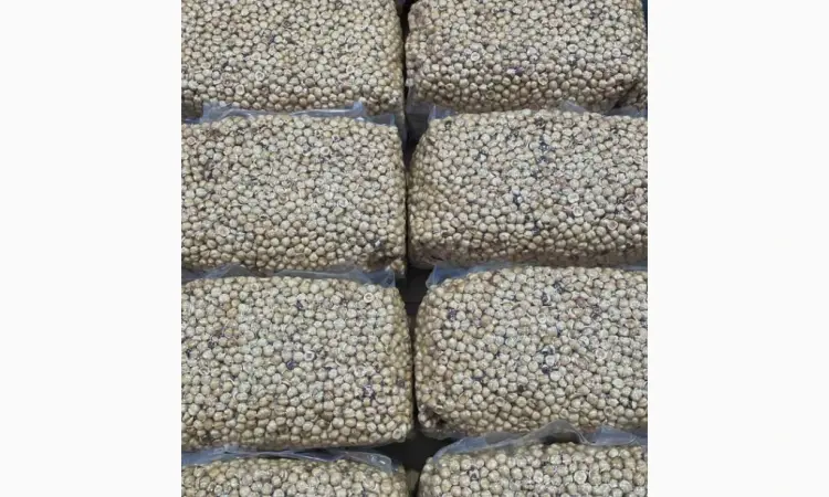 Продам фундук бланшерованый и жареный - фото № 1