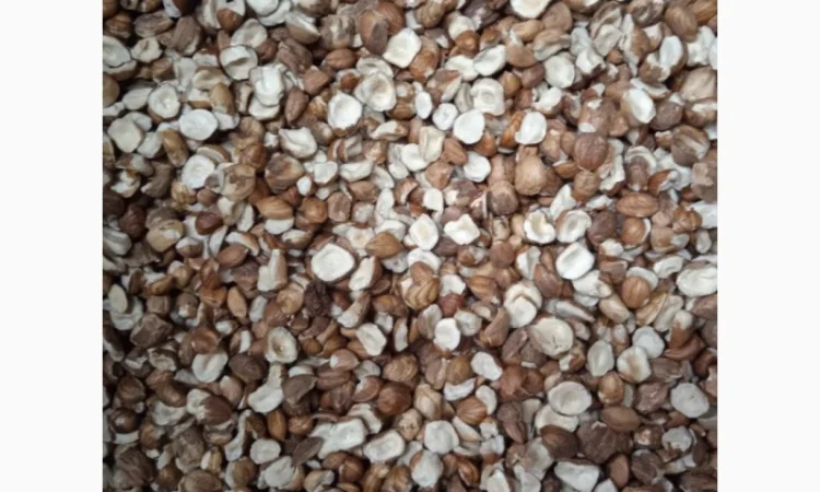 Продам фундук чищений сирий - фото № 3