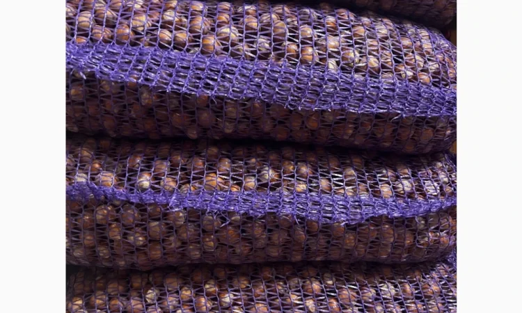 Куплю фундук в скорлупі різних сортів - фото № 1