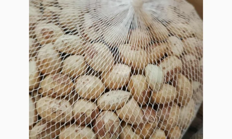 Продам орех Фундук (очищенный и неочищенный) - фото № 3