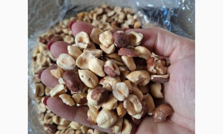 Продам половинки горішків фундука сорт Тонда Ді Джиффані. Завакумований пакет 5кг - фото № 1