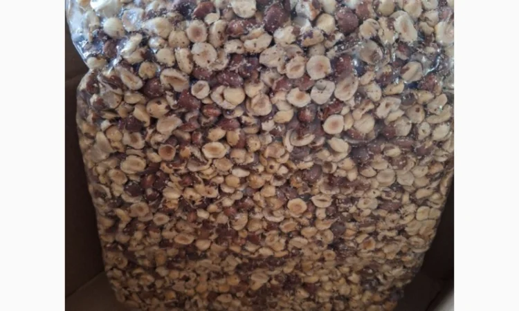 Продам половинки горішків фундука сорт Тонда Ді Джиффані. Завакумований пакет 5кг - фото № 3