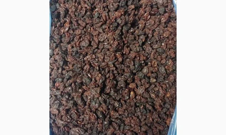 Изюм Узбекистан Кондитерский - фото № 1