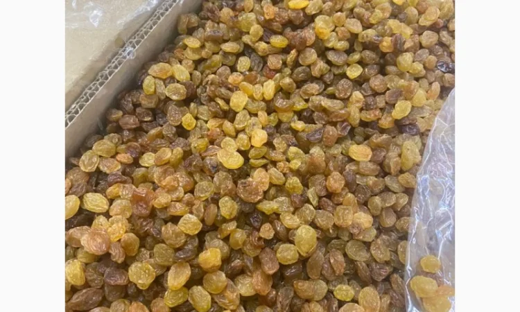 Изюм светлый Иран - фото № 1